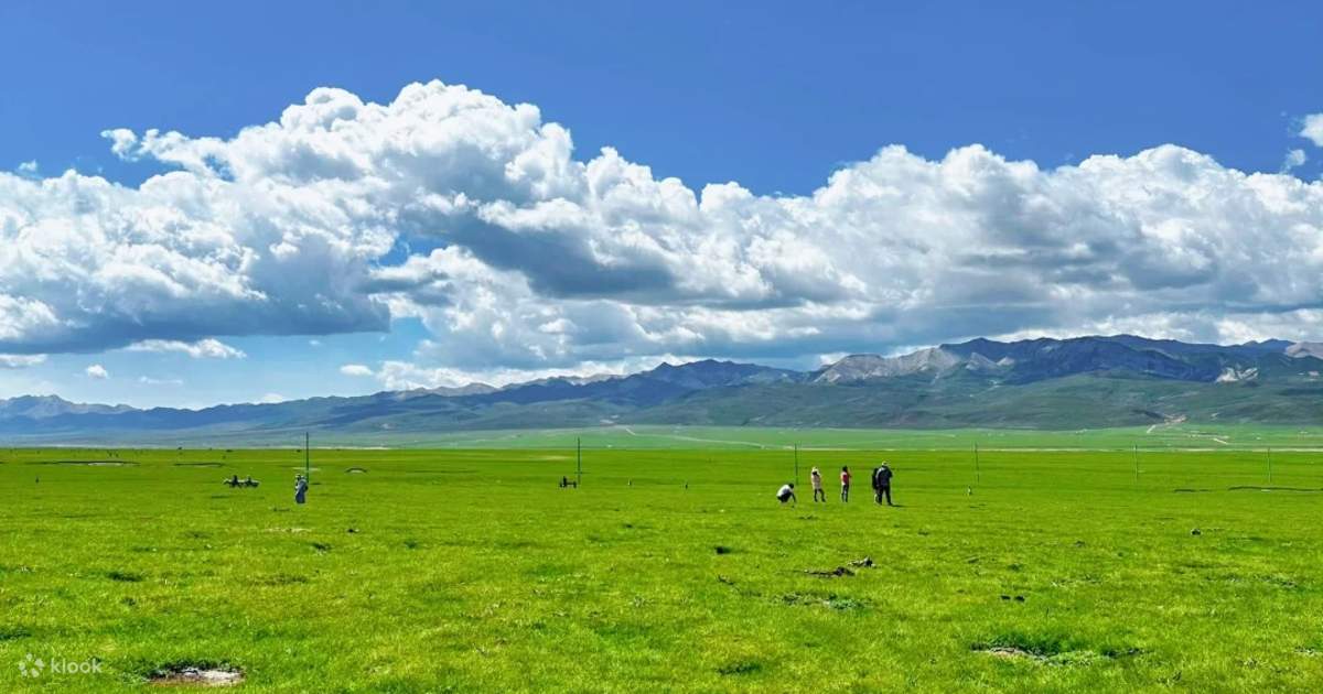 Xining Shika Snow Mountain + Zhuoer Mountain Qilian Grassland One